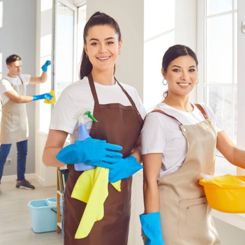 Lisa Cleaning-Regular Cleaning01